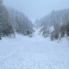 Valanghe e paura in Trentino: ad Arabba due sciatori travolti dalla neve. Chiusa una pista a Madonna di Campiglio