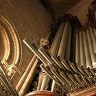 NOTRE-DAME La gioia dell'organista «L'organo è salvo»