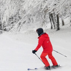 Morta mentre scia a Natale, ragazzina di 12 anni perde il controllo e si schianta contro un albero