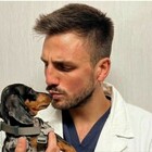 Il veterinario: «L'animale va educato»