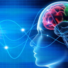 Cervello,la funzione essenziale per evitare l'Alzheimer