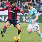 Palacio e Antenucci, tra Spal e Bologna finisce 1-1
