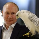 Putin, nervosismo al Cremlino: le difficoltà in guerra e le voci di colpo di stato fanno tremare Mosca