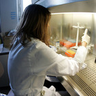Gemelli-Spallanzani, test su nuovo anticorpo