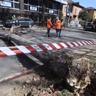 Milano, forte vento in città: caduti alberi e tegole dai tetti