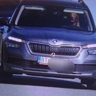 Cane al volante dell'auto, l'autovelox in Slovacchia immortala la scena. Il proprietario multato