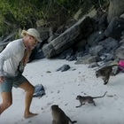 Scimmie aggrediscono papà con bimbo in braccio su una spiaggia: ecco come ha fatto a difendersi