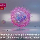 Perchè il coronavirus uccide più uomini che donne? Lo studio di alcuni ricercatori
