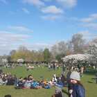 Londra festeggia la ripartenza post covid: folla al parco e decessi azzerati. Riaprono anche i ristoranti FOTO