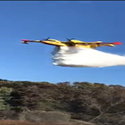 Nettuno, incendio nel bosco del Foglino: l'intervento del Canadair