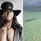 The Undertaker: l'ex campione di wrestling con un'occhiataccia "salva" la moglie dallo squalo