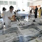 L’Italia che decresce: 7 bebè e 12 morti ogni mille abitanti