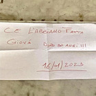 Matteo Messina Denaro, dopo l'arresto spunta il messaggio sulla tomba di Falcone: «Ce l'abbiamo fatta, Giovà!»
