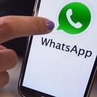 Whatsapp, boom di messaggi dai "vicini di numero": il gioco dell'estate che viola la privacy