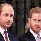 Lady Diana, spuntano le utlime volontà: William non deve fare il Re? Ecco chi voleva sul trono al suo posto