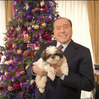 Berlusconi (e il cane Gilda) nel video di auguri per Natale