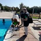 Bambina di un anno e mezzo muore annegata in piscina: è caduta in acqua mentre stava giocando con gli amichetti