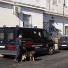 Estorsioni, sette arresti a Trani Estorsioni, sette arresti a Trani