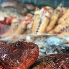 Vigilia di Natale: a base di pesce per quasi tutti gli italiani. Spazio per i piatti contaminati con la carne e vegani. Quanto spenderemo