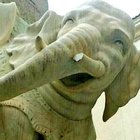 Sfregiato l'elefantino Minerva, Gassmann: "Chiunque sia stato, li mort.... tua"
