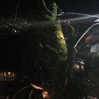 Pignataro Interamna, maltempo: albero cade su un'auto in transito, ferito un 75enne