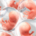 Embrioni umani sintetici creati con le staminali, superflui ovuli e spermatozoi: serviranno a studiare le malattie genetiche
