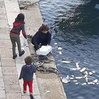 «Bambini, raccogliamo i rifiuti». Il web applaude la donna che pulisce il mare «Bambini, raccogliamo i rifiuti». Il web applaude la donna che pulisce il mare