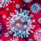 Il virus nelle particelle (che sfuggono alle mascherine) è infettivo