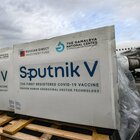 Vaccino, accordo con Spallanzani per sperimentare Sputnik: l'annuncio di Zingaretti