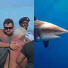 Attaccata da uno squalo mentre faceva snorkeling: morta una donna di 58 anni