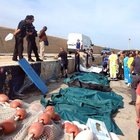 Migranti, naufragio di Lampedusa: il gip respinge la richiesta di archiviazione