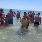 Taranto, tartaruga catturata e portata a riva per le foto: crudeltà sulla spiaggia