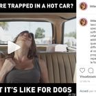 Elisabetta Canalis, video choc su Instagram: bloccata in auto, ecco perché