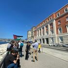 immagine Università Federico II di Napoli, il Senato accademico approva testo per il cessate il fuoco a Gaza