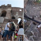 Topi e rifiuti al Colosseo