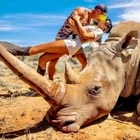 Spara al rinoceronte e posa con la moglie vicino alla carcassa