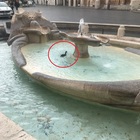 Roma, un'anatra fa il bagno nella fontana della Barcaccia