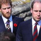William e Harry mai così lontani, ora passano alle vie legali per l'eredità di Diana