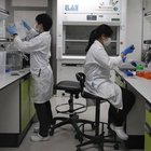 «Il virus non sta perdendo potenza»: scienziati australiani smentiscono (alcuni) virologi italiani