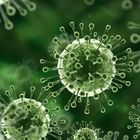 Coronavirus, spunta una nuova strada con cui il virus invade organismo: è sensibile a farmaci anti-diabete