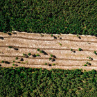 Amazzonia, distrutti in un anno 13 mila km quadrati: i dati che vengono dai satelliti