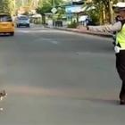 Vigile ferma il traffico per permettere al gatto di attraversare