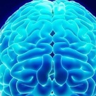 Tumore al cervello scoperto con l'esame delle urine: la diagnosi precoce rivelata in uno studio