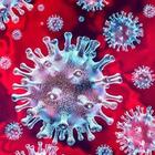 Covid diventerà come l'influenza? 