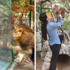 Animal City Lebanon: "Lo zoo dove tutto è possibile", la denuncia delle associazioni.