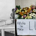 Ragazzo morto sotto il tram a Milano: la data del funerale di Luca Marengoni