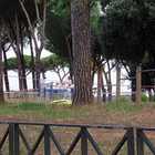 Diabolik ucciso in agguato a Roma: l'ultrà della Lazio ucciso con un colpo di pistola alla testa FOTO