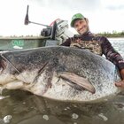 Il "mostro del Po", pesce siluro di 3 metri (e 150 chili) catturato nel fiume: «Ecco come ho fatto». Le immagini incredibili