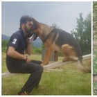 Hanno ucciso Kaos, il cane eroe del sisma ad Amatrice. «Avvelenato dagli umani che tante volte aveva salvato»
