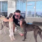 Davide Acito, l'italiano che va in Cina per liberare cani e gatti dal macello: «Stipati in attesa di essere uccisi»